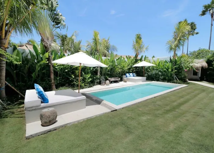 Amazing 3 Bedrooms Canggu